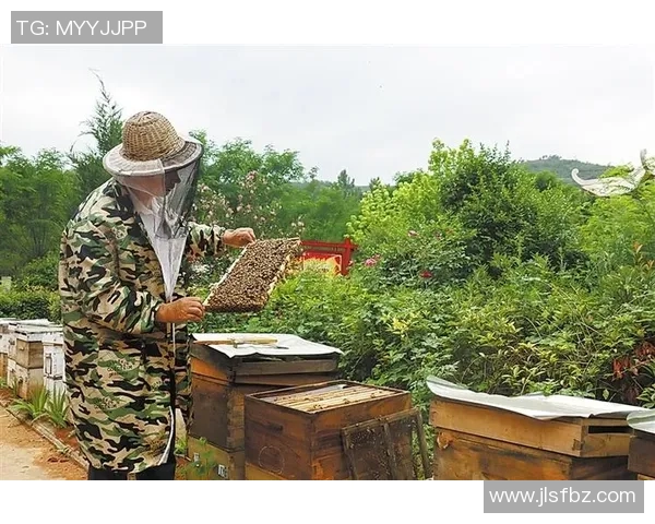 爱国足球球星拼搏奋进谱写绿色赛场民族荣耀华章